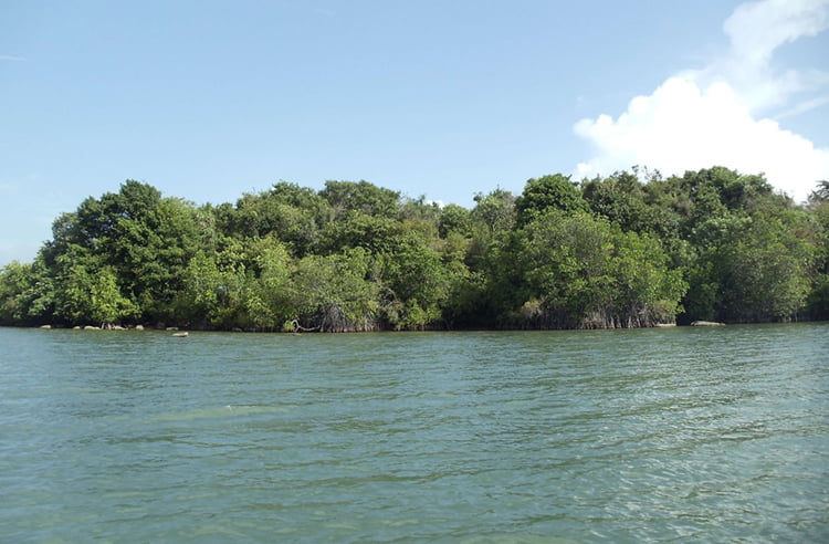 Koggala Lake Front